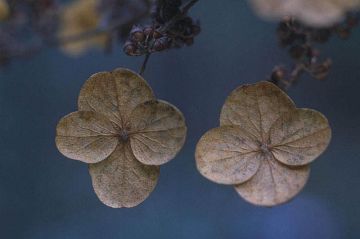 有限会社三益商事