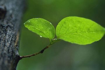 綜合リサイクル北都